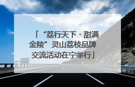 “荔行天下・甜满金陵”灵山荔枝品牌交流活动在宁举行