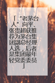 “老茅台人”向平、张贵超获推荐为茅台集团副总经理人选，后者是集团最年轻党委委员