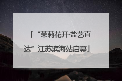 “茉莉花开·盐艺直达”江苏滨海站启幕