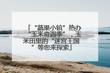 “蔬果小镇”热办“玉米奇遇季”，玉米田里的“迷宫王国”等您来探索