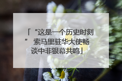 “这是一个历史时刻” 索马里驻华大使畅谈中非银幕共鸣