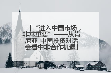 “进入中国市场，非常重要”——从肯尼亚-中国投资对话会看中非合作机遇