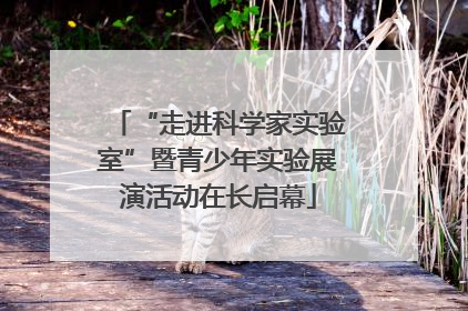 “走进科学家实验室”暨青少年实验展演活动在长启幕