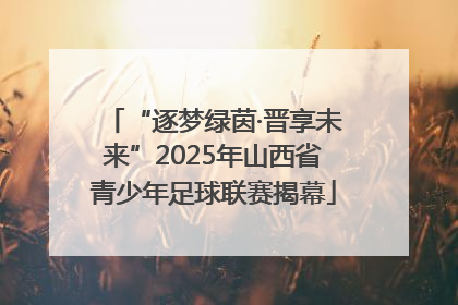 “逐梦绿茵·晋享未来”2025年山西省青少年足球联赛揭幕