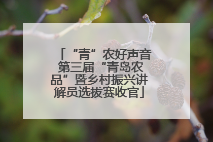 “青”农好声音 第三届“青岛农品”暨乡村振兴讲解员选拔赛收官