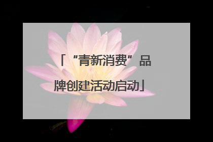 “青新消费”品牌创建活动启动