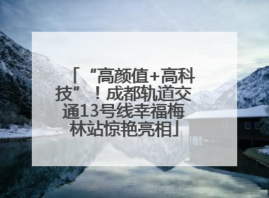 “高颜值+高科技”！成都轨道交通13号线幸福梅林站惊艳亮相