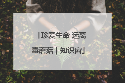 珍爱生命 远离毒蘑菇｜知识窗