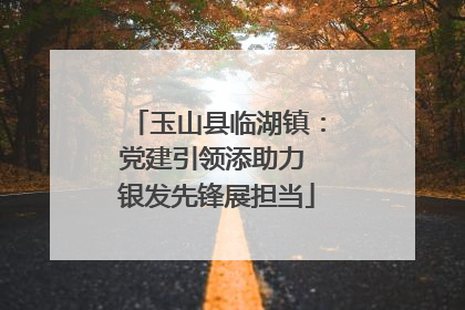 玉山县临湖镇：党建引领添助力 银发先锋展担当