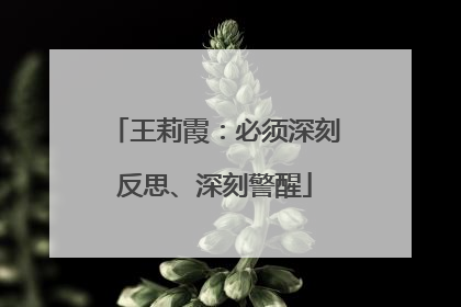 王莉霞：必须深刻反思、深刻警醒