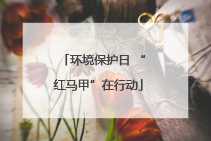 环境保护日 “红马甲”在行动