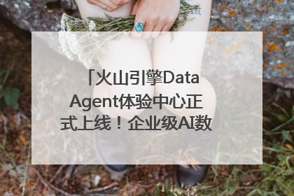 火山引擎Data Agent体验中心正式上线！企业级AI数据专家触手可及
