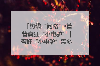 热线“问路”•管管疯狂“小电驴”｜管好“小电驴”需多部门形成合力