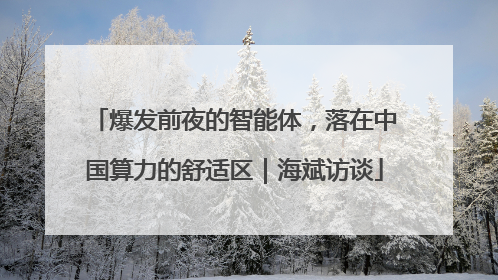 爆发前夜的智能体，落在中国算力的舒适区｜海斌访谈