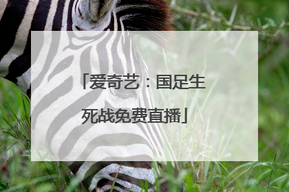 爱奇艺：国足生死战免费直播