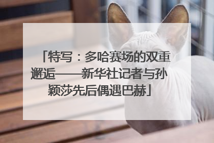 特写：多哈赛场的双重邂逅——新华社记者与孙颖莎先后偶遇巴赫