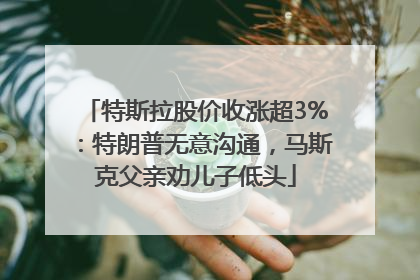 特斯拉股价收涨超3%：特朗普无意沟通，马斯克父亲劝儿子低头