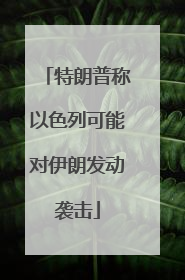 特朗普称以色列可能对伊朗发动袭击