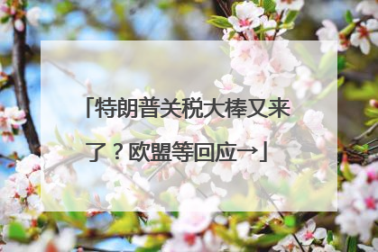 特朗普关税大棒又来了？欧盟等回应→