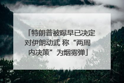 特朗普被曝早已决定对伊朗动武 称“两周内决策”为烟雾弹