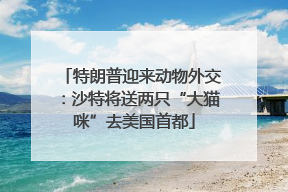 特朗普迎来动物外交：沙特将送两只“大猫咪”去美国首都