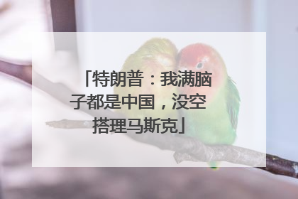 特朗普：我满脑子都是中国，没空搭理马斯克