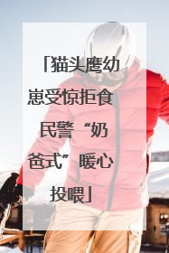 猫头鹰幼崽受惊拒食 民警“奶爸式”暖心投喂