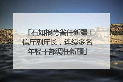 石如根跨省任新疆工信厅副厅长，连续多名年轻干部调任新疆
