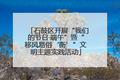 石鼓区开展“我们的节日·端午”暨“移风易俗‘衡’”文明主题实践活动