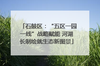 石鼓区：“五区一园一线”战略赋能 河湖长制绘就生态新图景