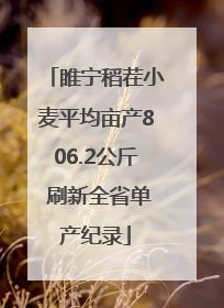 睢宁稻茬小麦平均亩产806.2公斤 刷新全省单产纪录