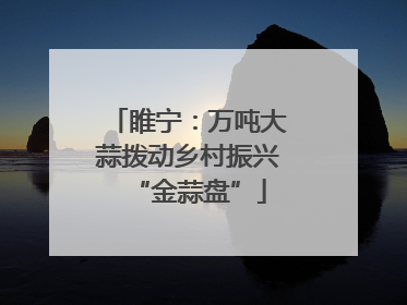 睢宁：万吨大蒜拨动乡村振兴“金蒜盘”