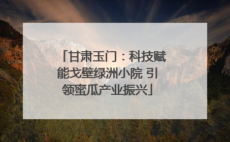 甘肃玉门：科技赋能戈壁绿洲小院 引领蜜瓜产业振兴