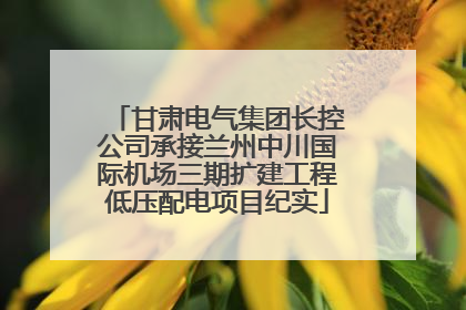甘肃电气集团长控公司承接兰州中川国际机场三期扩建工程低压配电项目纪实