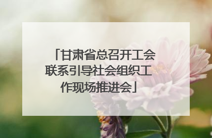 甘肃省总召开工会联系引导社会组织工作现场推进会