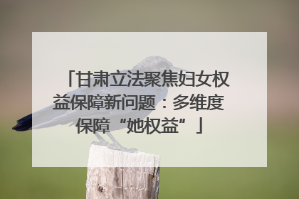 甘肃立法聚焦妇女权益保障新问题：多维度保障“她权益”