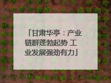 甘肃华亭：产业链群蓬勃起势 工业发展强劲有力