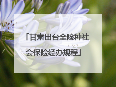甘肃出台全险种社会保险经办规程