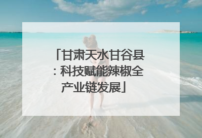 甘肃天水甘谷县：科技赋能辣椒全产业链发展