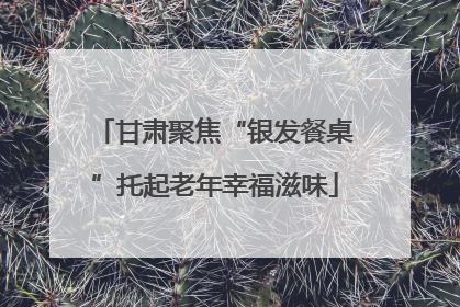甘肃聚焦“银发餐桌”托起老年幸福滋味