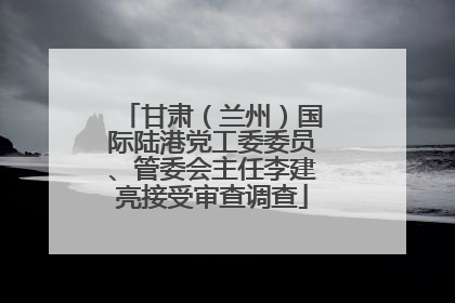 甘肃（兰州）国际陆港党工委委员、管委会主任李建亮接受审查调查