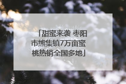 甜蜜来袭 枣阳市熊集镇7万亩蜜桃热销全国多地