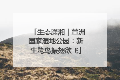 生态潇湘｜萱洲国家湿地公园：新生鹭鸟振翅欲飞