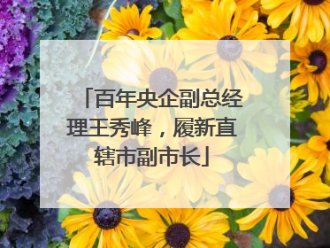 百年央企副总经理王秀峰，履新直辖市副市长