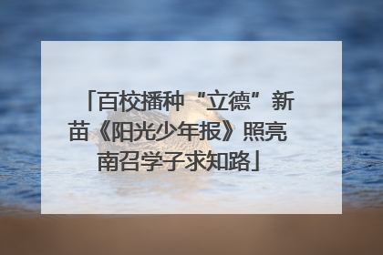 百校播种“立德”新苗《阳光少年报》照亮南召学子求知路