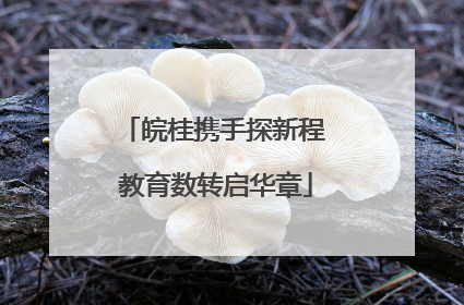 皖桂携手探新程 教育数转启华章