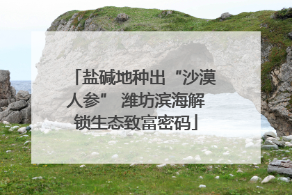 盐碱地种出“沙漠人参” 潍坊滨海解锁生态致富密码