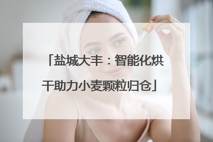 盐城大丰：智能化烘干助力小麦颗粒归仓