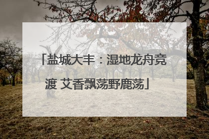 盐城大丰：湿地龙舟竞渡 艾香飘荡野鹿荡