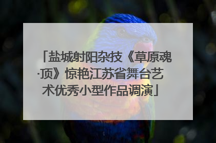 盐城射阳杂技《草原魂·顶》惊艳江苏省舞台艺术优秀小型作品调演